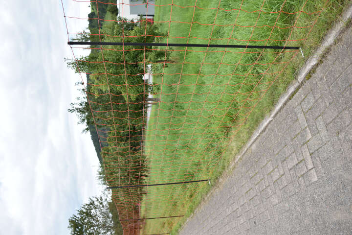 Euro-Netz Mustang 170/2